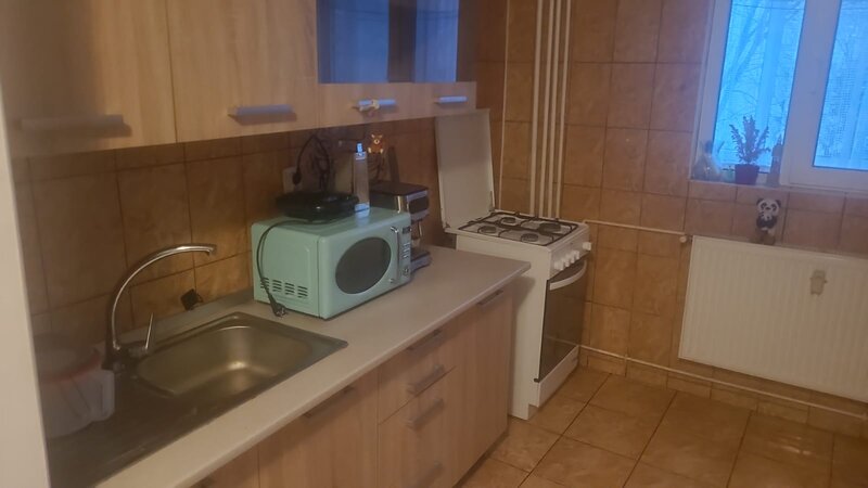 Colentina Teiul Doamnei