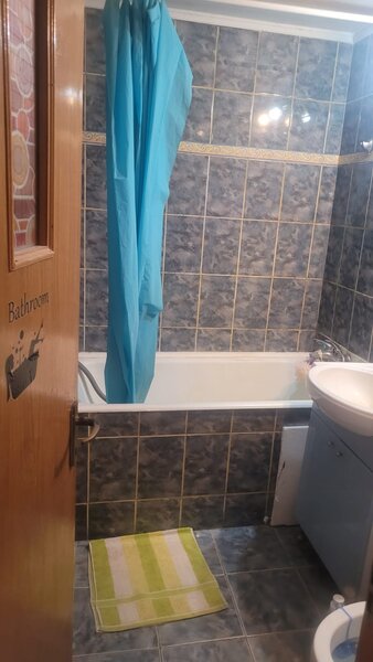 Colentina Teiul Doamnei